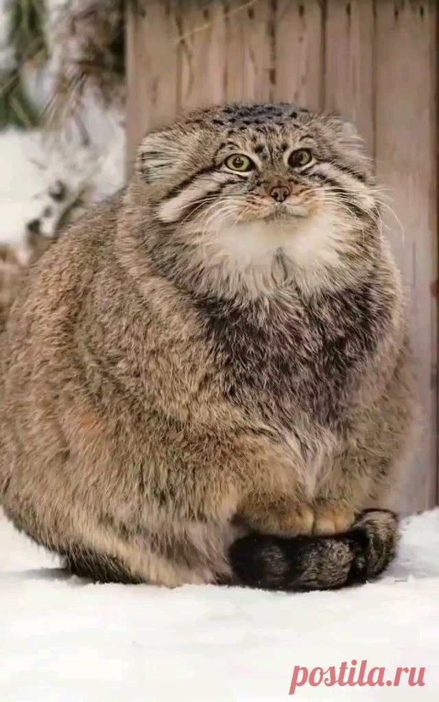 ,
