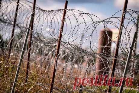 Нелегалы попытались сломать забор на границе Польши и Белоруссии. Нелегальные мигранты пытались сломать забор на границе Польши и Белоруссии в районе Черемши. Отмечается, что сотрудники пограничной службы успели быстро отреагировать благодаря оповещению от электронного заграждения. По данным стражи, за сутки в страну попытались проникнуть 28 человек.