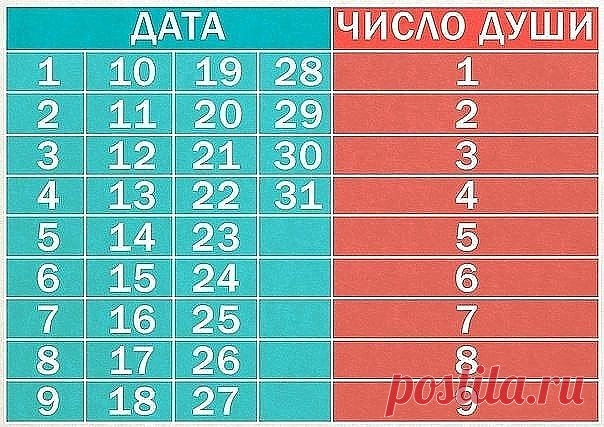 Узнай свое 