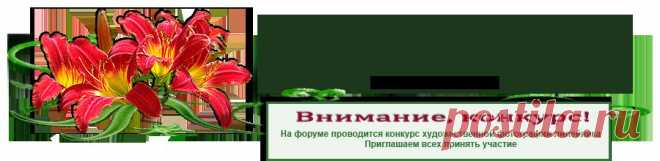 Форум о лилейниках - Главная страница