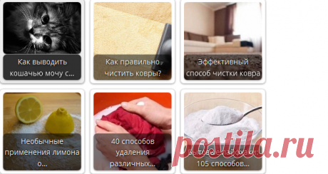 Как избавиться от запаха кошачьей мочи на ковре? • Искусство здоровой жизни