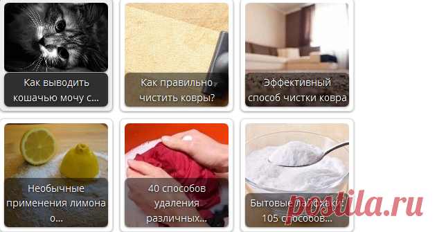 Как избавиться от запаха кошачьей мочи на ковре? • Искусство здоровой жизни