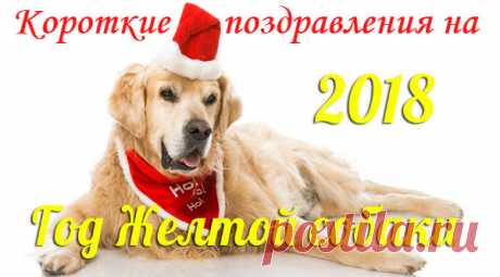 СМС с Новым годом 2018, годом Собаки, короткие, прикольные | Стихи дари на праздник