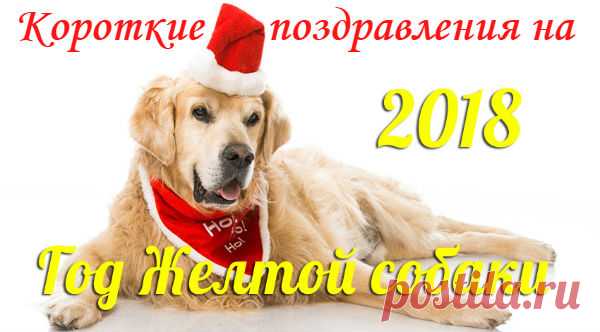 СМС с Новым годом 2018, годом Собаки, короткие, прикольные | Стихи дари на праздник