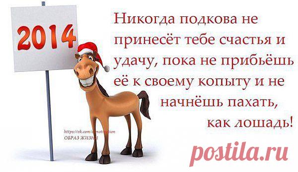 (54) Одноклассники