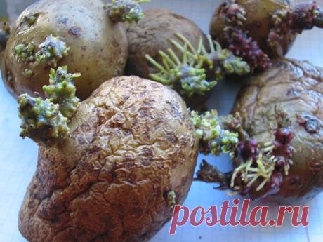 (2) Одноклассники