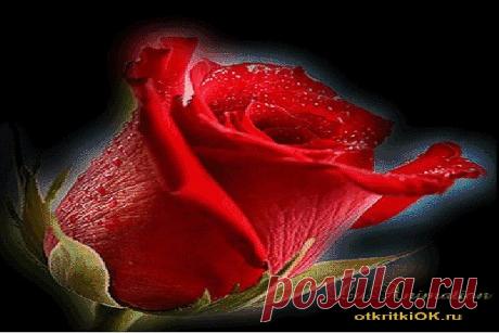 otkritkiok.ru: 1 тыс изображений найдено в Яндекс.Картинках