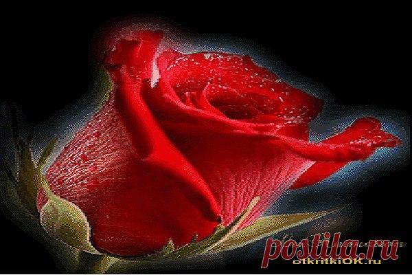 otkritkiok.ru: 1 тыс изображений найдено в Яндекс.Картинках