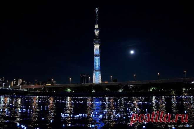 15 фото. Японская телебашня Tokyo Sky Tree - самая высокая в мире &raquo; Большие фото: ты увидишь мир