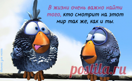 Правила жизни