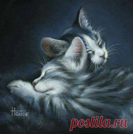 Google+
