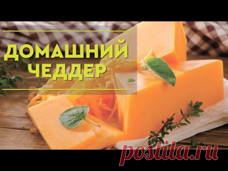 сыр чеддр / простой проверенный рецепт /на сыроварне Тремасова / сыроварке Тремасова / Тремас Микс