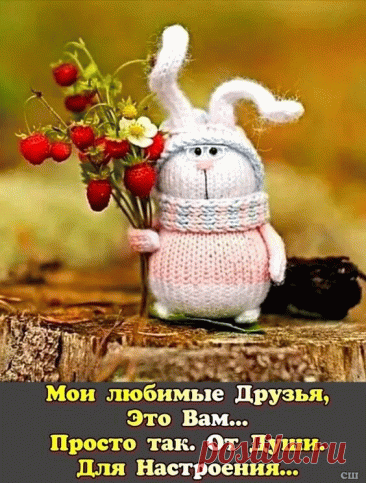 Душевные открытки для настроения наполнены теплом и светом, они способны подарить улыбку даже в самый пасмурный день и наполнить сердце радостью.