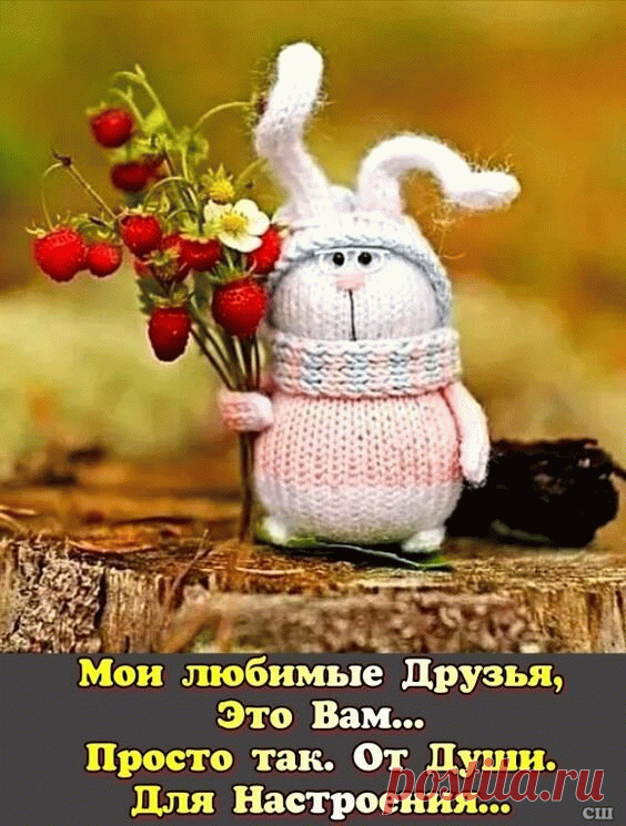 Душевные открытки для настроения наполнены теплом и светом, они способны подарить улыбку даже в самый пасмурный день и наполнить сердце радостью.