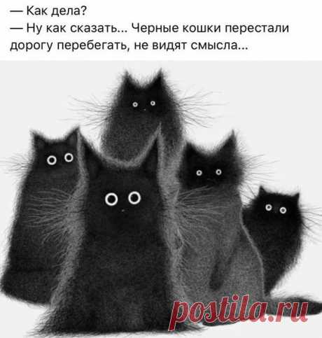 (2) Pinterest