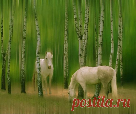 Мой Мир@Mail.Ru
