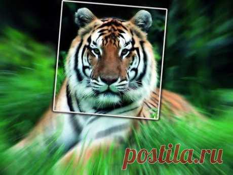 Photoshop CC Стерео эффект