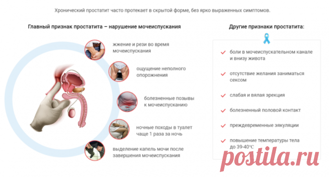 Показания и противопоказания
Предстакапс является абсолютно натуральным средством, что в свою очередь обеспечивает отсутствие побочных эффектов. К противопоказаниям можно отнести разве что индивидуальную непереносимость компонентов.
Препарат показан мужчинам со следующими симптомами:
Учащенное мочеиспускание,
Неприятные ощущения и жжение в паховой области,
Боли в области таза,
Сбой функций половой системы,
Преждевременная эякуляция,
Потеря мужской силы,
Чувство усталости даже в ранние часы,