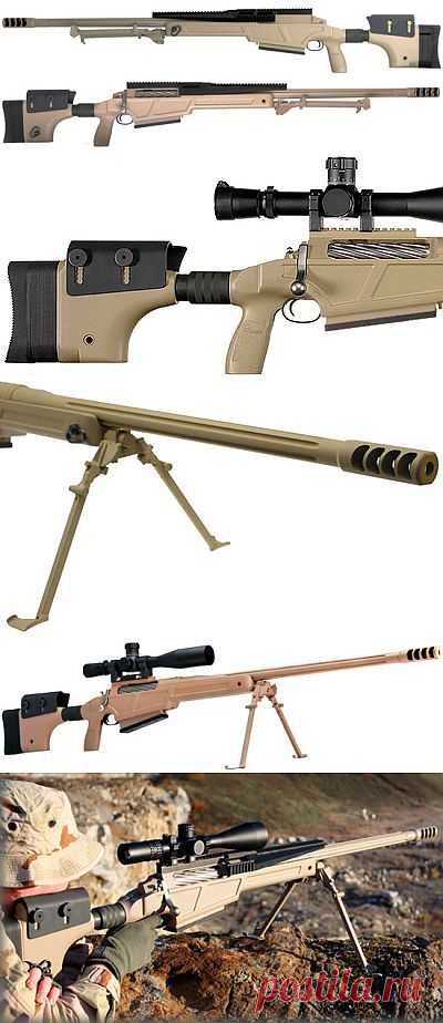 Снайперская винтовка SIG 50 | Энциклопедия оружия