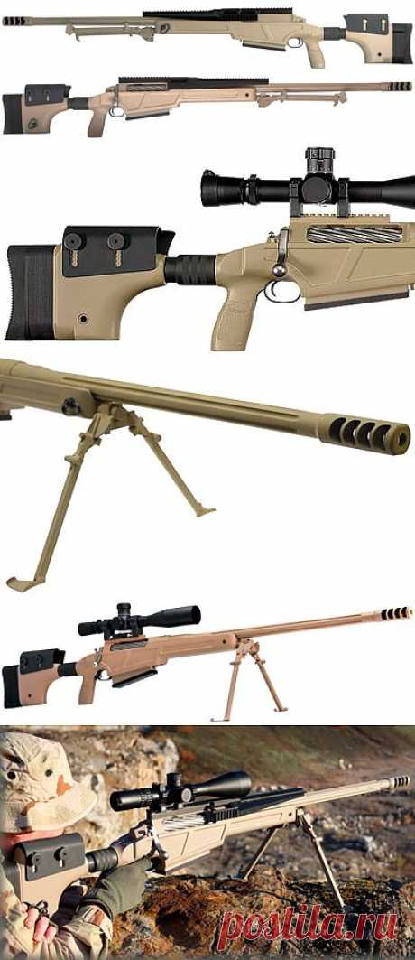 Снайперская винтовка SIG 50 | Энциклопедия оружия