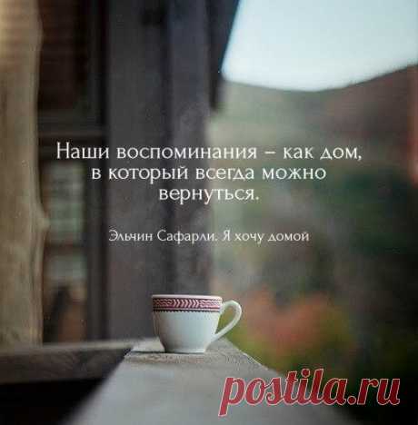 40 великолепных цитат Эльчина Сафарли, которые научат Вас любить и быть счастливыми