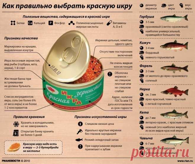 Прекрасная хозяйка, мама, жена| Women's Choice