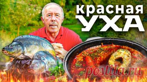 КРАСНАЯ УХА в КАЗАНЕ на КОСТРЕ. УХА из КАРПА. НОВИНКА в ПРИГОТОВЛЕНИИ УХИ | ДЕД МЯСОЕД | Дзен