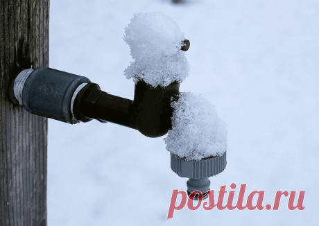 Календарь сезонных работ в саду: декабрь - Planetalsad