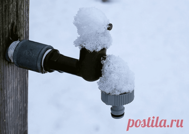 Календарь сезонных работ в саду: декабрь - Planetalsad