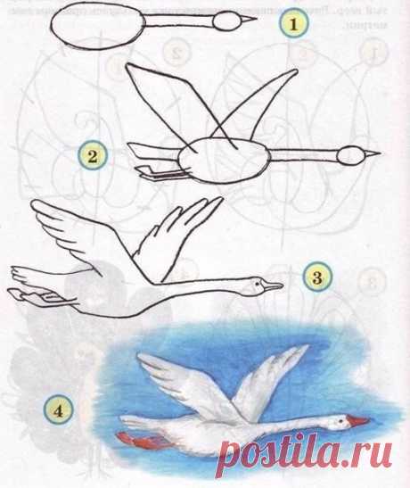 Рисуем птиц