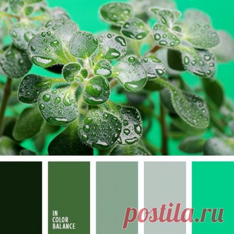 Цветовые сочетания
Холодные оттенки