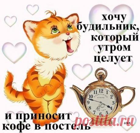 интересные новости