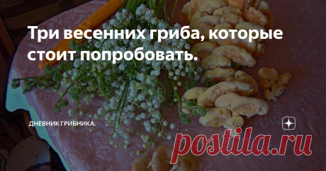 Три весенних гриба, которые стоит попробовать.