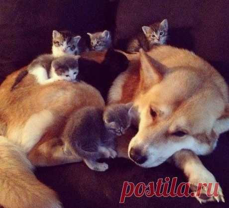 (2) Мой Мир@Mail.Ru