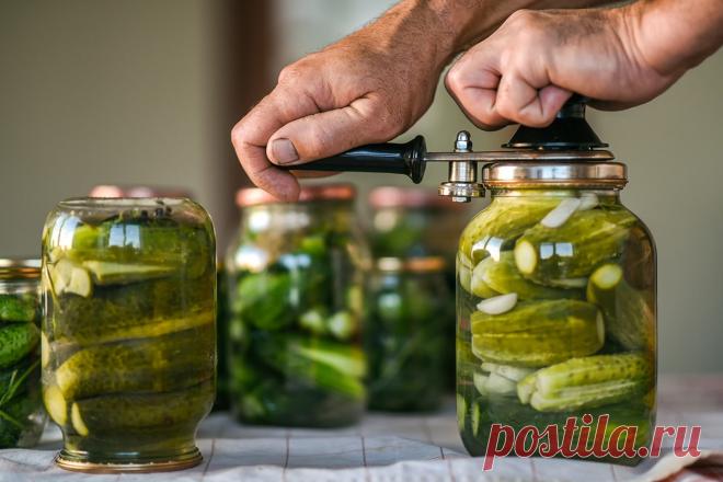 Огурцы по-польски: заготовка на зиму | Со Вкусом