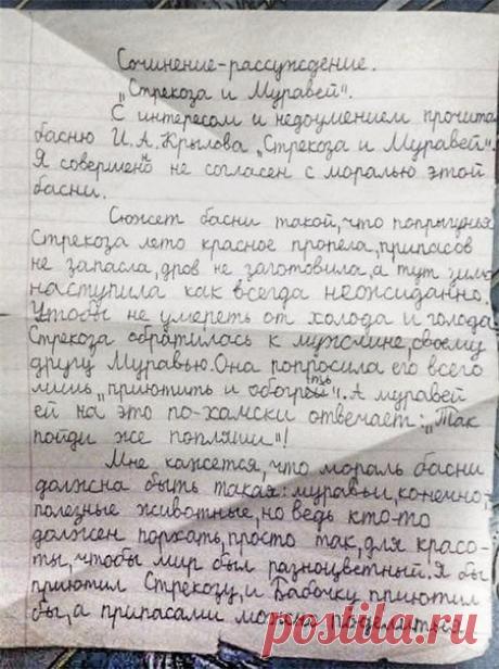 Сочинение, в котором мальчик защищает стрекозу из басни.
Всегда нужно рассматривать любую ситуацию со всех сторон.
