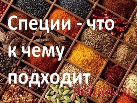СПЕЦИИ – ЧТО К ЧЕМУ ПОДХОДИТ