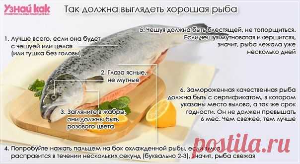 Как должна выглядеть рыба