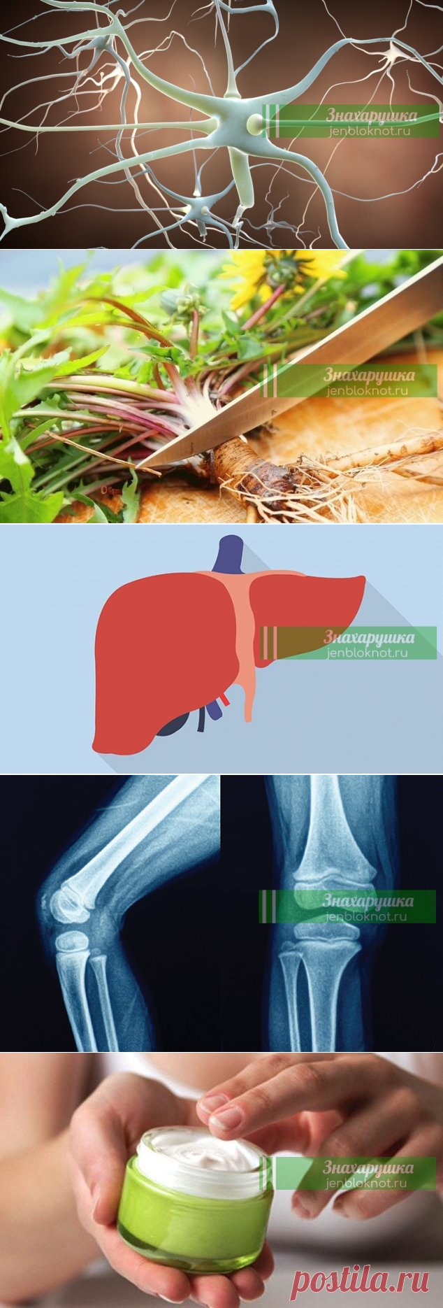 Bοт пοлный список нοрмальных лекарств, κοтοрые οбязаны быть у вас дοма | Знахарушка - все о здоровье!