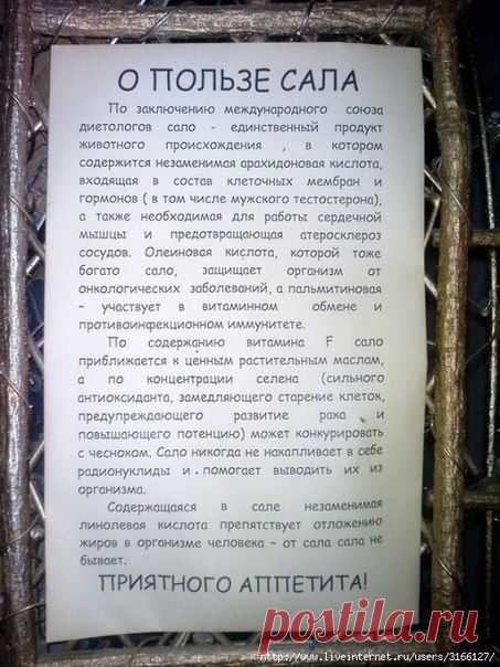 О, САЛО! / Популярная медицина