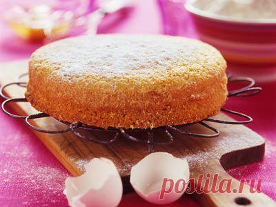 Как приготовить бисквит. Мастер-класс на Gastronom.ru
