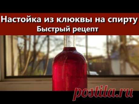 Настойка из клюквы на спирту быстрый рецепт