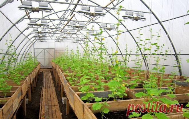 Обогрев Теплицы Своими Руками: Виды Отепления (Фото)+Отзывы Какой способ обогрева теплицы своими руками наиболее эффективен? Как обустроить печное, газовое, водное отопление и отопление с помощью инфракрасных обогревателей? На все эти вопросы вы найдете ответы в данной статье.