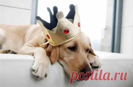 7 Inexpensive Ways to Get Rid of Boredom - E-Generator: Ideas, Concepts, Advertising, Creativity - MirTesen Media Platform