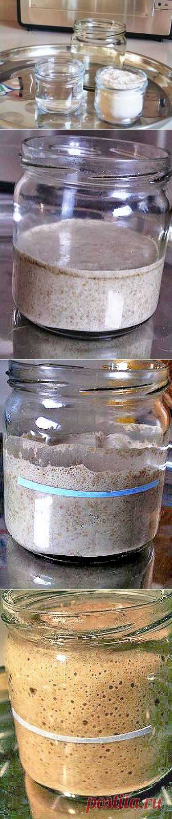 ЗАКВАСКА. ХЛЕБ НА ЗАКВАСКЕ