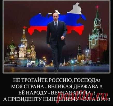 Президент России правильно поступил с провокатором ?