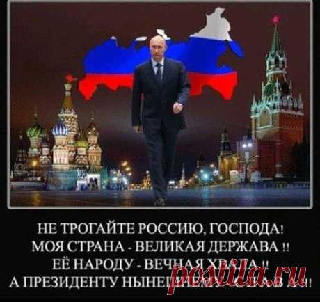Президент России правильно поступил с провокатором ?