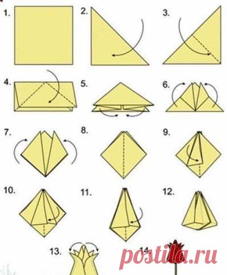 Красота своими руками