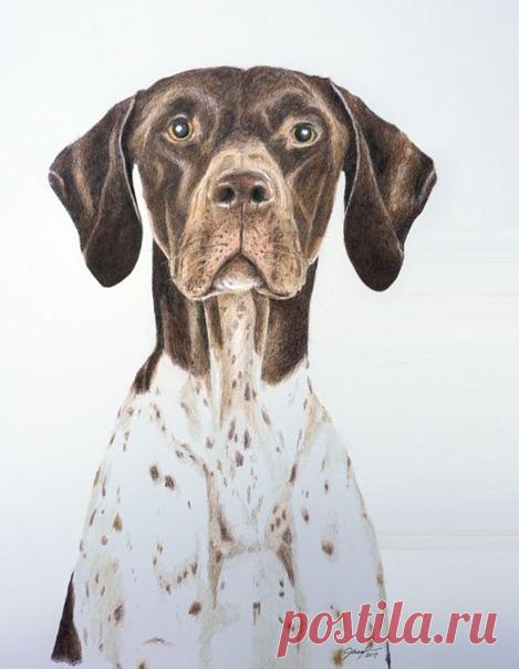 В ветлечебницу ворвался шумный и взволнованный клиент: 