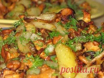 Картошка с лисичками в мультиварке